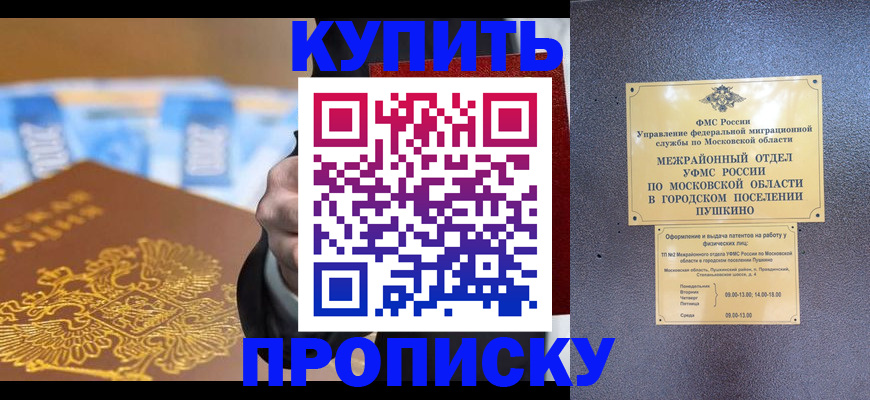 форма 3 в Новгородской области